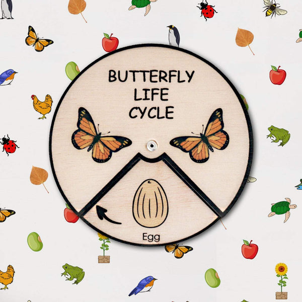 Learning Wheels - Butterfly Life Cycle