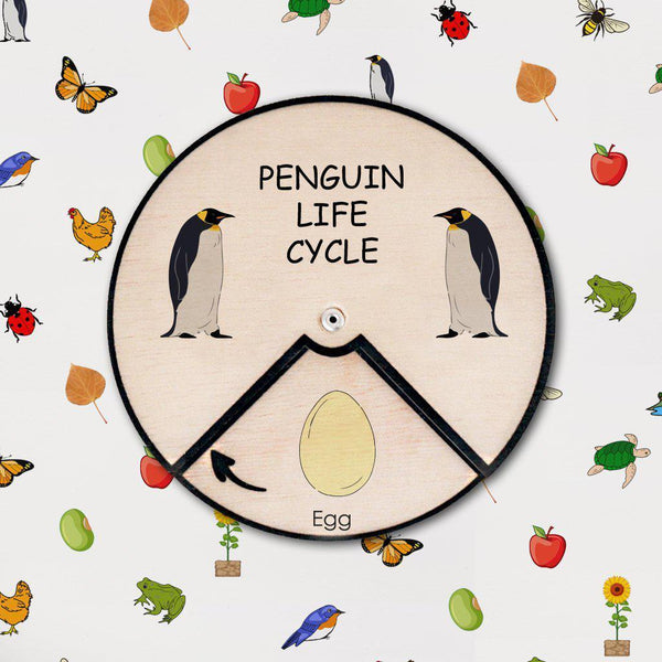 Learning Wheels - Penguin Life Cycle